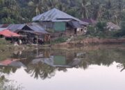 Warga Pohuwato Khawatir Terkait Pengelolaan Limbah Emas Berbahaya di Desa Balayo