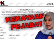 Diduga Terlibat Proyek PEN, Harta Direktur RSUD Otanaha Hampir Rp2 Miliar