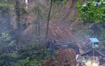 Agus Akui Rintis Akses PETI BUGU, Trabas Hutan Lindung Hingga Klaim Berhenti sejak Desember 2025