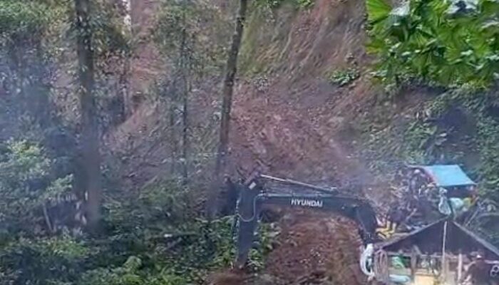Agus Akui Rintis Akses PETI BUGU, Trabas Hutan Lindung Hingga Klaim Berhenti sejak Desember 2025