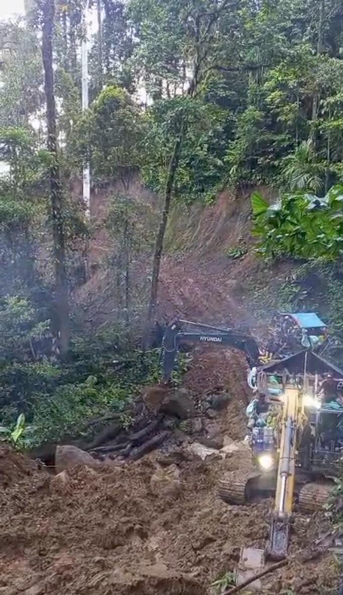 Aktivitas Ekscavator di duga milik Agus sedang mengeruk hutan