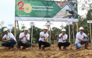 BJA Group Setor PSDH dan Dana Reboisasi Rp150 Miliar, Serap 1.400 Tenaga Kerja Lokal