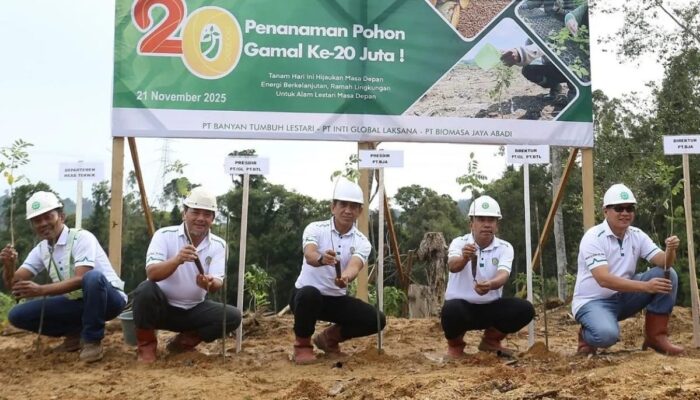 BJA Group Setor PSDH dan Dana Reboisasi Rp150 Miliar, Serap 1.400 Tenaga Kerja Lokal