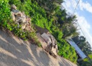 Tanah Milik Almarhum La Dahuna