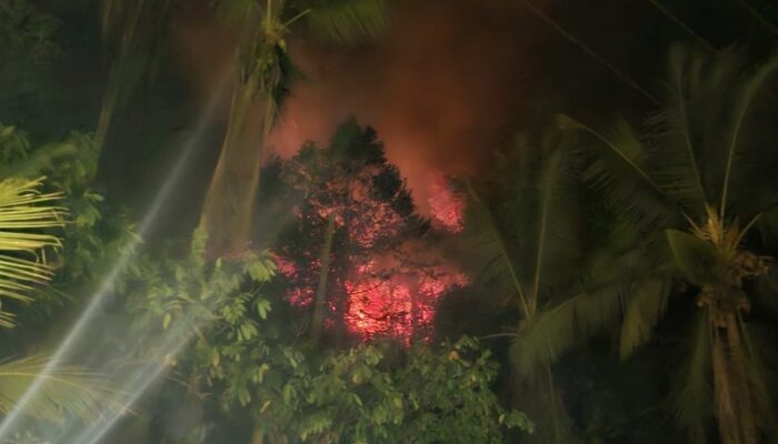 Api Kembali Menyala di Perkebunan Tikong, Nunu dan Padang Warga Berjibaku Padamkan Kebakaran pada Malam Hari