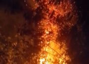Karhutla Perkebunan Salome, Ratusan Pohon Cengkeh Warga Tikong dan Nunu Hangus