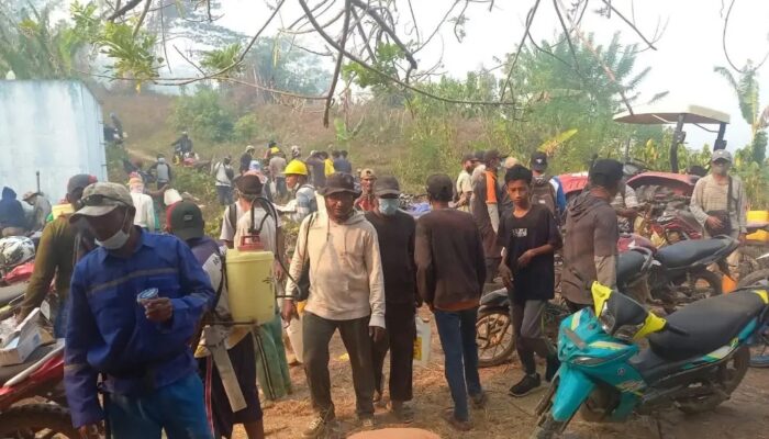 Ratusan Warga Desa Sahu Bergotong Royong Padamkan Karhutla perkebunan Tikong-Nunu