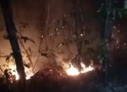 Titik Api Terbaru di Air Samumu Membesar Kembali, Kebun Cengkeh Warga Tikong-Nunu Terancam
