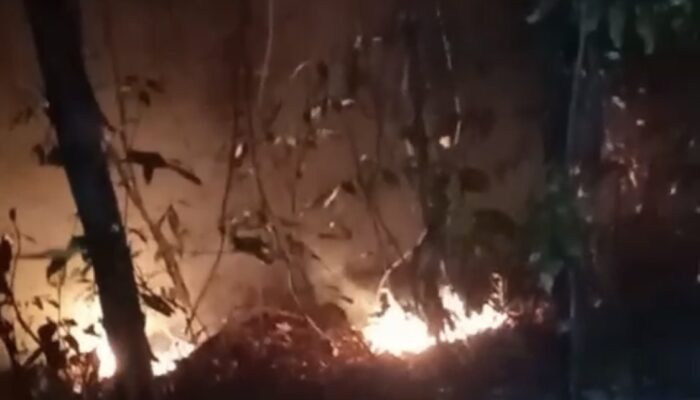 Titik Api Terbaru di Air Samumu Membesar Kembali, Kebun Cengkeh Warga Tikong-Nunu Terancam