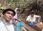 Warga Gotong Royong Padamkan Bara Api di Perkebunan Kawasan Padang