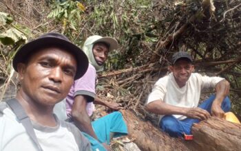 Warga Gotong Royong Padamkan Bara Api di Perkebunan Kawasan Padang