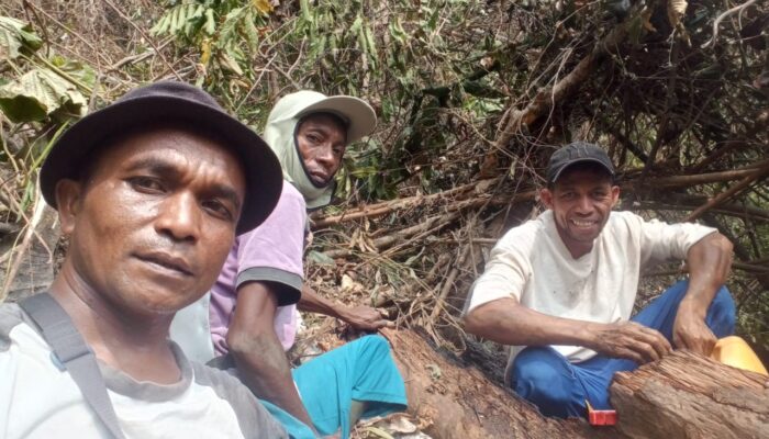 Warga Gotong Royong Padamkan Bara Api di Perkebunan Kawasan Padang
