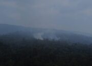 Asap Tebal Masih Terlihat di Dekat Perkebunan Air Samumu, Relawan Terus Pantau Titik Api