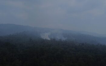Asap Tebal Masih Terlihat di Dekat Perkebunan Air Samumu, Relawan Terus Pantau Titik Api